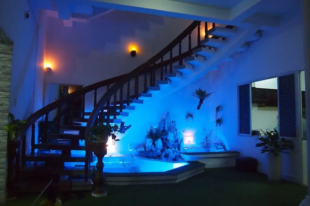 Gecko Hostel (Adults Only)-1