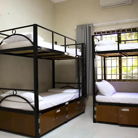 Gecko Hostel (Adults Only)-3